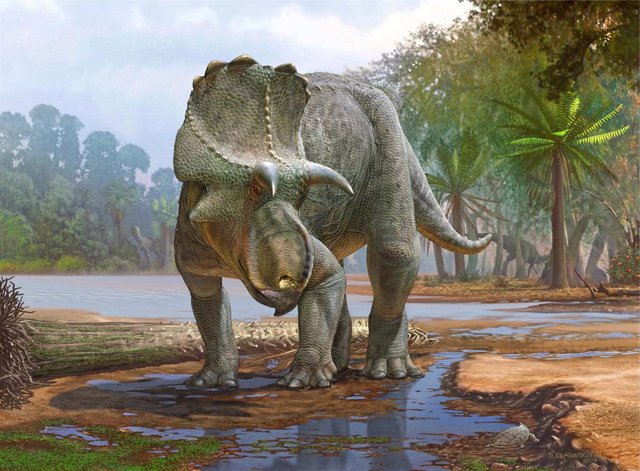 Reconstrucción del dinosaurio ceratópsido Menefeeceratops sealeyi