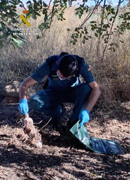 Archivo - Guardia Civil investiga a cuatro personas por utilizar medios de caza no selectivos