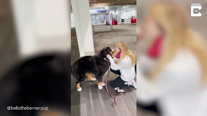Esta joven se reencuentra con su perro tras más de un mes separados