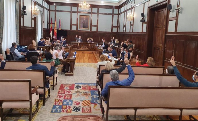 Pleno de la Diputación de Guadalajara