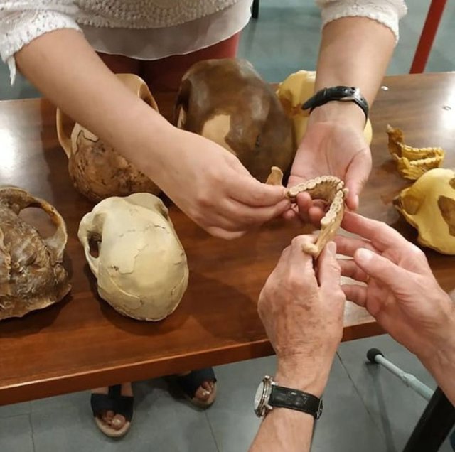 Réplicas en 3D de restos arqueológicos.