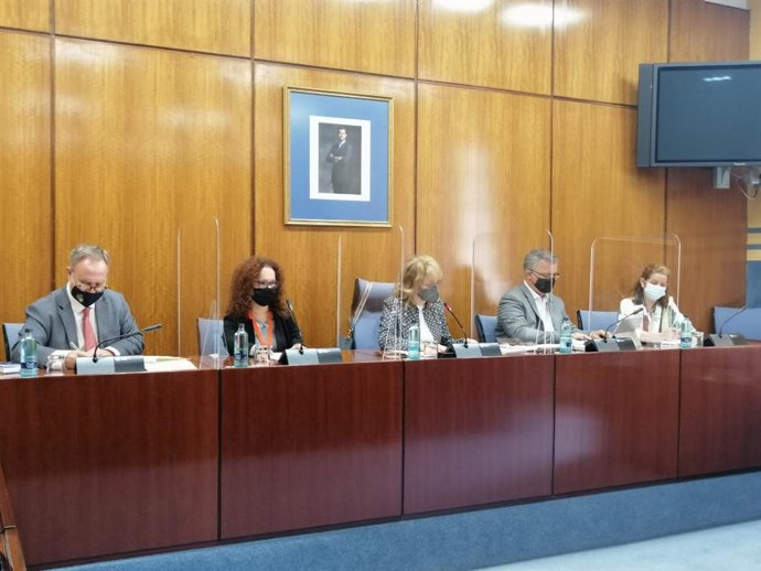 Marta Castillo este martes en el Parlamento.