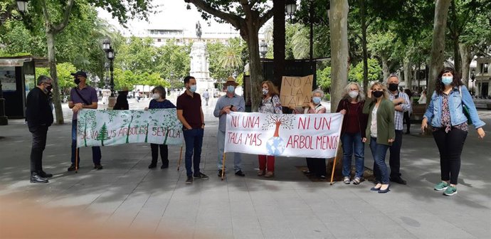 Protesta de 'Salva tus árboles'