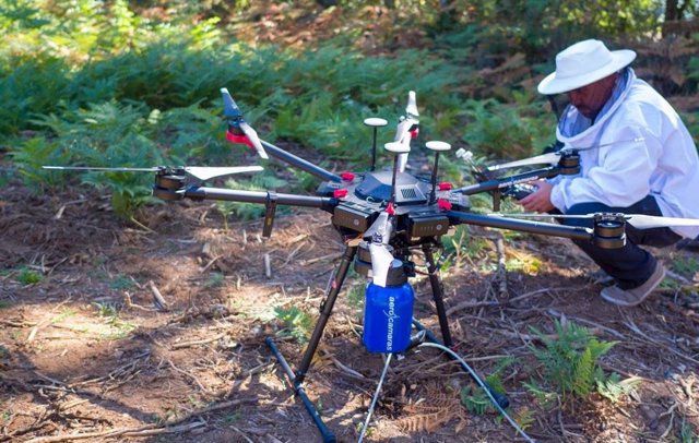 Tecnico ajustando Drone Velutina