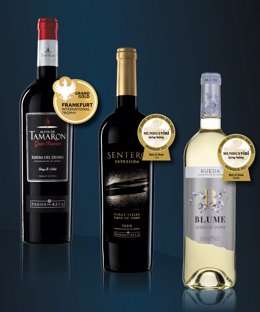 Vinos de Felix Solís