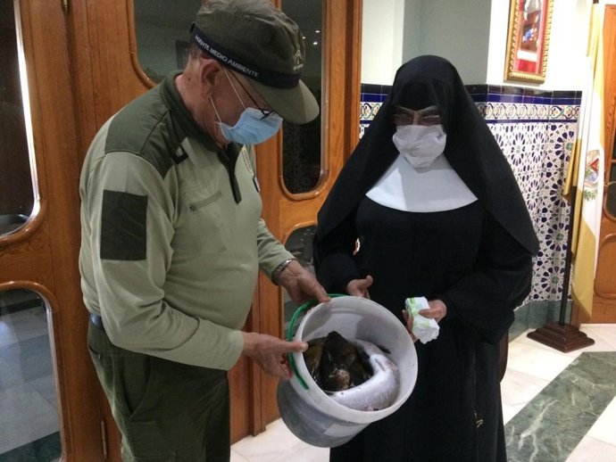 Los ejemplares decomisados fueron entregados una entidad benéfica