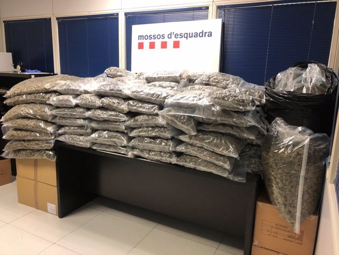 Imagen de los 150 kilos de marihuana incautados en un domicilio de Lli d'Amunt (Barcelona)