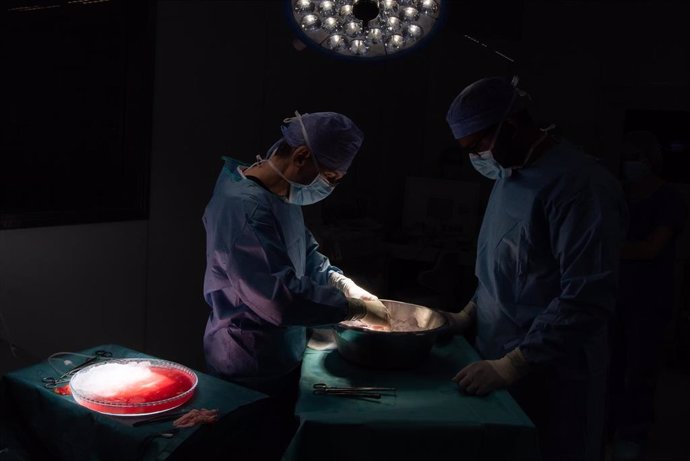 Dos profesionales realizan un trasplante de riñón de donante vivo en un quirófano del Hospital Clínic de Barcelona