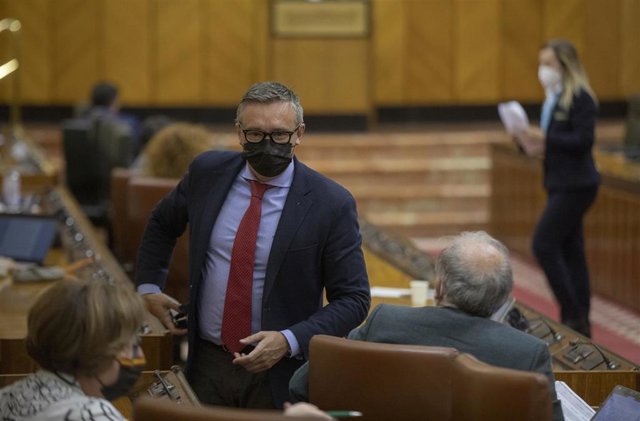 El nuevo portavoz del grupo parlamentario Vox, Manuel Gavira (c), conversa con la diputada de su grupo, Angela Mulas, durante la primera jornada del Pleno del Parlamento de Andalucía, a 12 de mayo de 2021, en Sevilla (Andalucía, España).