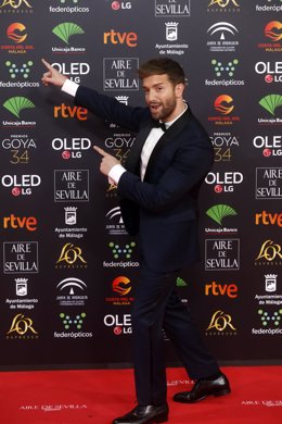 Archivo - El cantante Pablo Alborán,  posa en la alfombra roja de la XXXIV edición de los Premios Goya, en Málaga (Andalucía, España), a 25 de enero de 2020