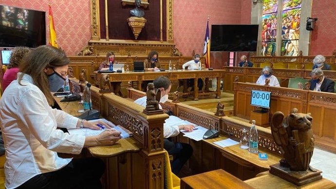 Pleno del Consell de Mallorca durante la aprobación de la subvención.