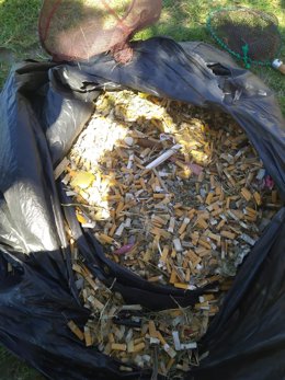 Colillas recogidas en Rincón de la Victoria (Málaga)