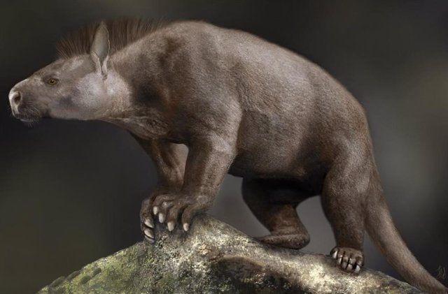 Reconstrucción de un mamífero del Paleoceno que vivió hace unos 65 millones de años.