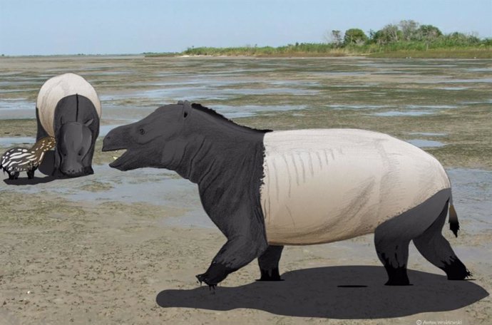 Una reconstrucción de los mamíferos del tamaño de un oso pardo (Coryphodon) que dejaron miles de huellas en una laguna de agua salobre de 58 millones de años en lo que hoy es el sur de Wyoming.