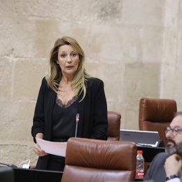 La parlamentaria andaluza de Cs Concha Insúa