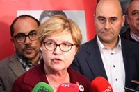 El PSOE de Madrid pide a sus militantes "ideas o críticas" para lograr el "cambio político" en 2023