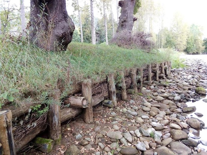 Imagen de una empalizada realizada en Arraioz.