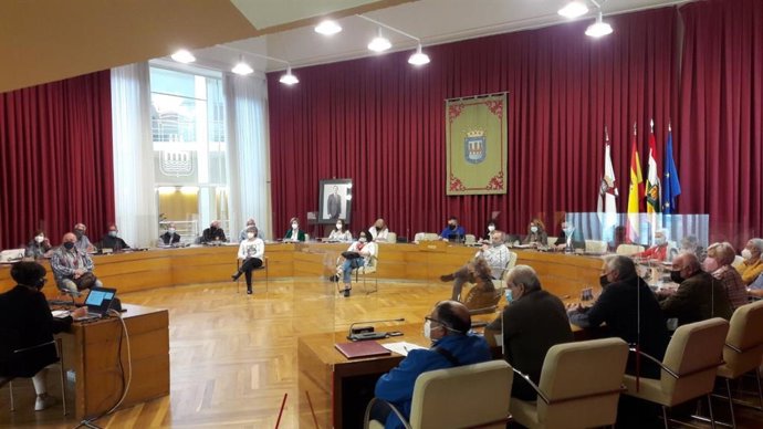 El Pleno del Consejo de Mayores aprueba la creación de un grupo para impulsar el desarrollo del Proyecto de Ciudades Amigables con las personas mayores