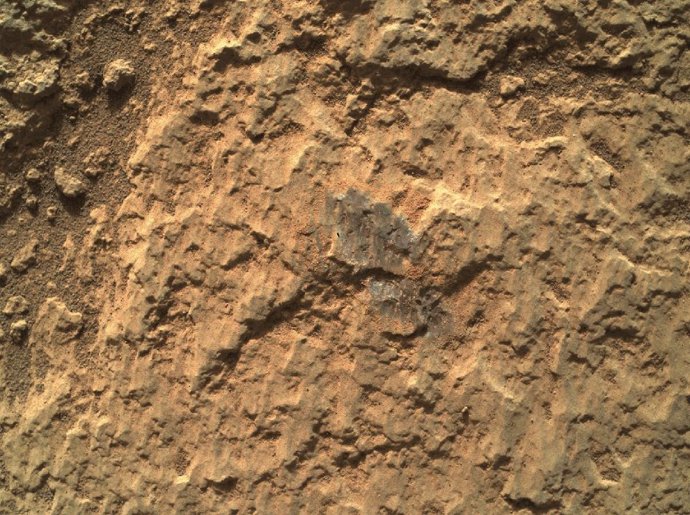 Imagen enfocada de objetivo de roca en Marte por la cámara WATSON del rover Perseverance