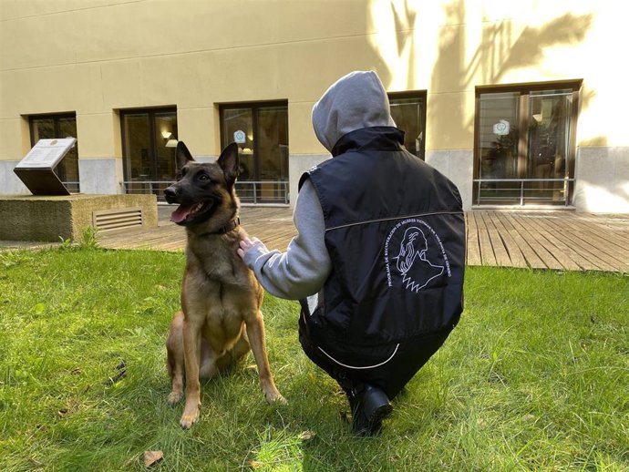 Proyecto Escan, centrado en la terapia emocional asistida con perros adiestrados para mujeres víctimas de violencia de género.