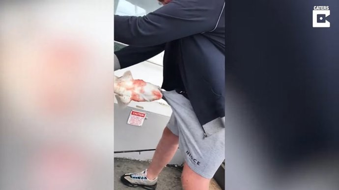 La tripulación de este barco de pesca pasó un rato divertido viendo a este pescador lidiar con un pequeño tiburón aferrado a su ingle