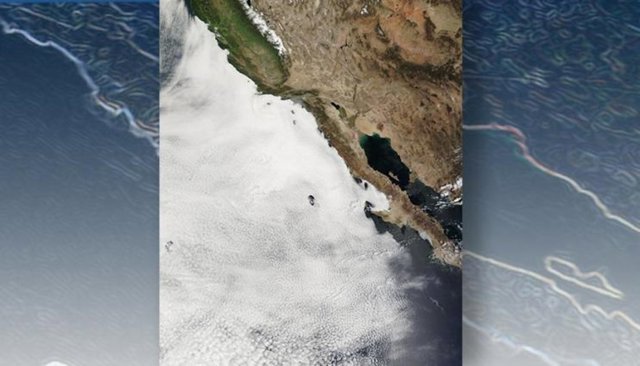 Nubes de estratocúmulos marinos a lo largo de las costas de California y Baja California, según reveló un satélite de la NASA.