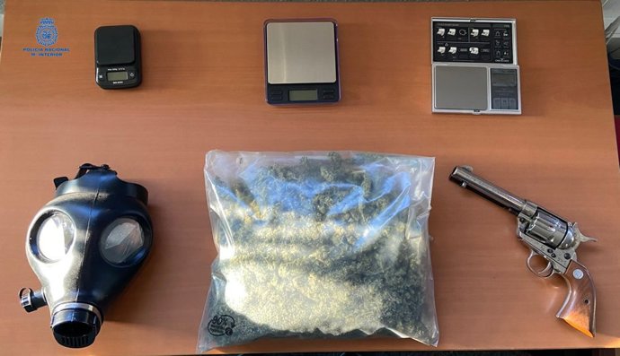 La Policía interviene medio kilo de droga, 250 plantas de marihuana y armas.