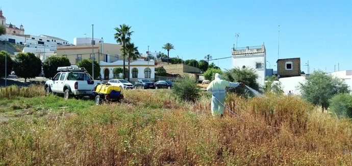 Labores de fumigación contra mosquitos en Las Cabezas de San Juan