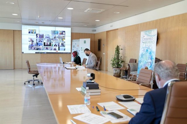 El presidente de la Federación Andaluza de Municipios y Provincias (FAMP), Fernando Rodríguez Villalobos, en una reunión de los órganos de gobierno de la FAMP.