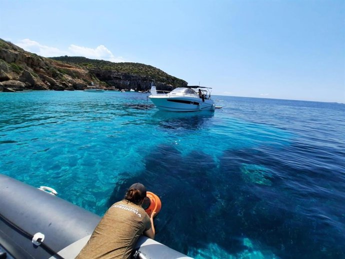 Servicio de vigilancia de la posidonia.