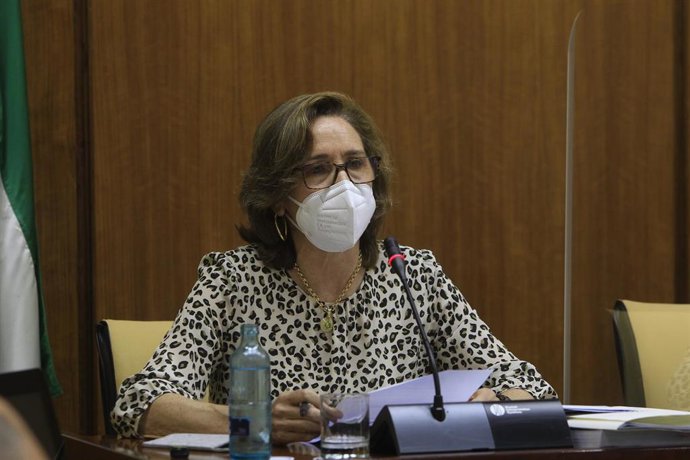 La presidenta de la Cámara de Cuentas, Carmen Núñez