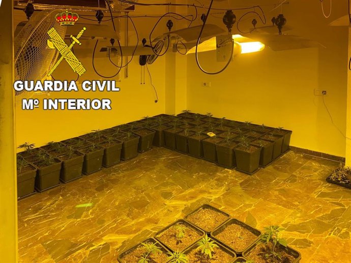 Droga intervenida en Santa Fe.