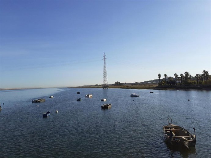 Diputación de Huelva licita la ampliación de vías peatonales y ciclistas desde La Rábida a Moguer en el marco de Edusi