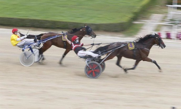 El ganador del Gran Premio Nacional de Trote Indio. En segundo lugar ha quedado Ivan de Font y en tercero ILove Duran.