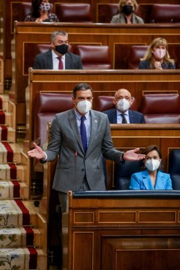 El presidente del Gobierno, Pedro Sánchez, interviene durante una Sesión de Control en el Congreso