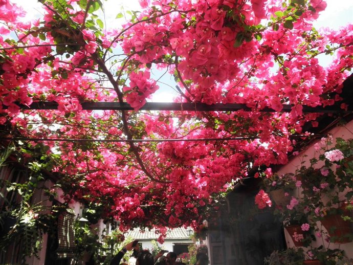 Archivo - Patio de la calle Marroquíes, 6, uno de los primeros premios del concurso centenario.