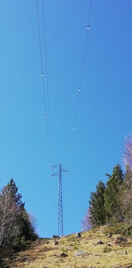 Elementos reflectantes colocados en las líneas eléctricas evitan colisiones de aves.