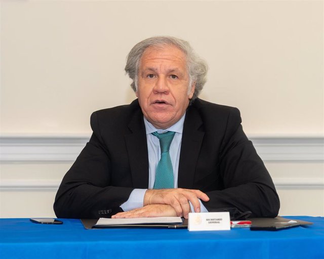 Archivo - Luis Almagro, secretario general de la OEA