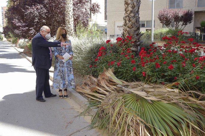 Trabajos de eliminación de hoja seca en el barrio de los Periodistas
