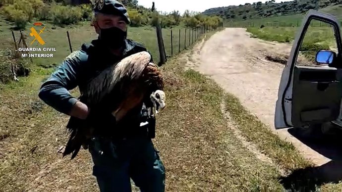 Vídeo de la noticia