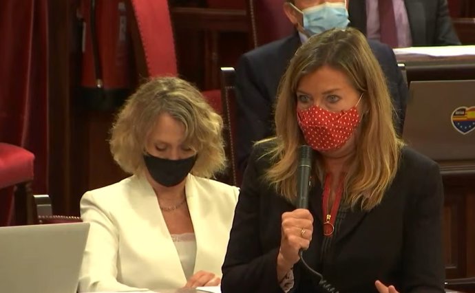 La consellera de Salud y Consumo, Patricia Gómez, durante el pleno.