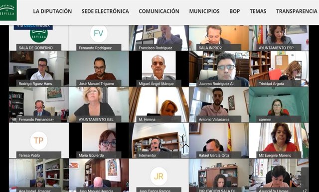 Pleno telemático y extraordinario en la Diputación