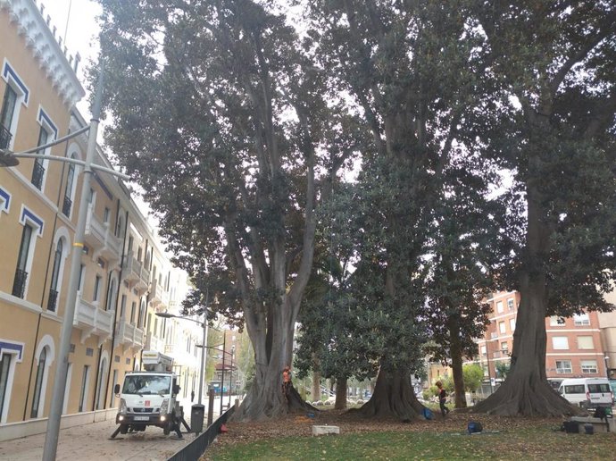 Imagen de los trabajos desarrollados en el Cuartel de Artillería