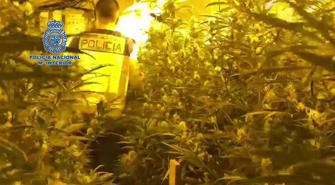 Operación policial contra el tráfico de drogas