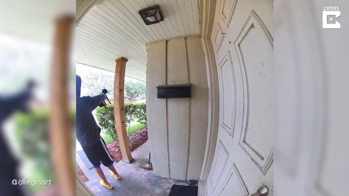 La desesperación llevó al dueño de esta chihuahua a sacarla al jardín para enseñarle que no hay nada que ladrar