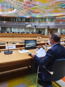 El presidente del CSD se estrena en el Consejo de Ministros de Deportes de la UE.