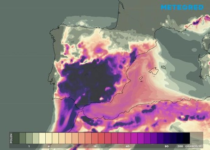 Las concentraciones de polen superarán los umbrales de riesgo