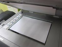 Service Point rebota más de un 6% tras presentar sus resultados