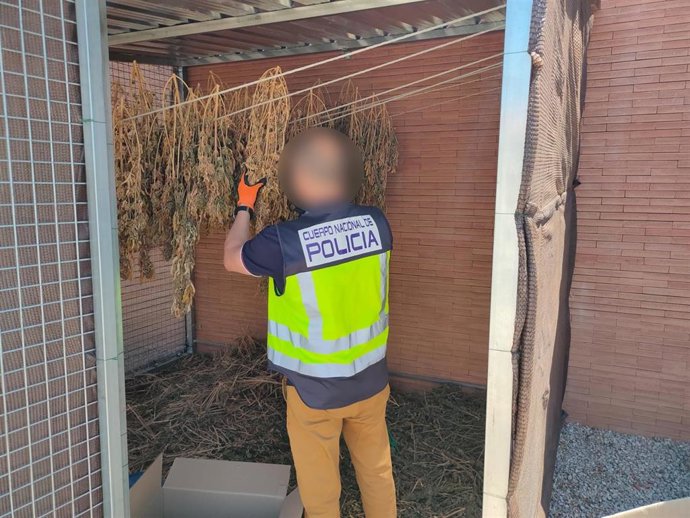 Cuatro detenidos en dos operaciones contra el tráfico de drogas en Alicante y Sant Vicent