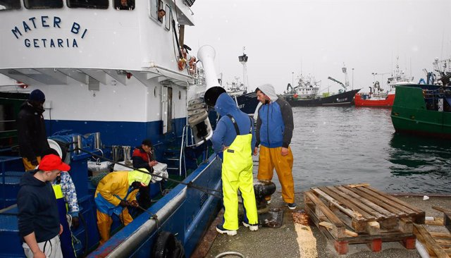 Varios pescadores trabajan en la campaña de pesca de la anchoa, a 26 de abril de 2021, en el muelle de Burela, Lugo, Galicia, (España). El bocarte o anchoa de buen tamaño ha aparecido este año entre Avilés y Burela, lo que ha provocado una concentración